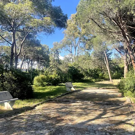 Cosy Avec Piscine Saint-Raphael (Var)
